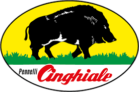 PENNELLI CINGHIALE